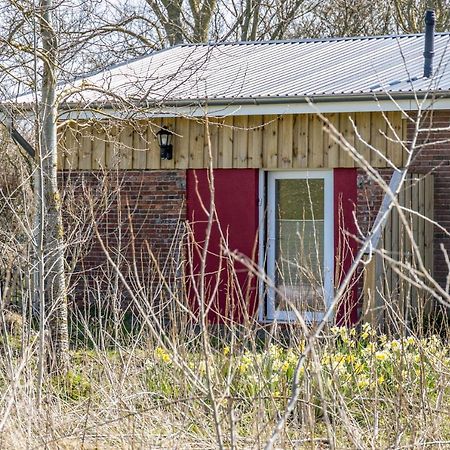 Deichgraf 1 Apartment Friedrichskoog Luaran gambar