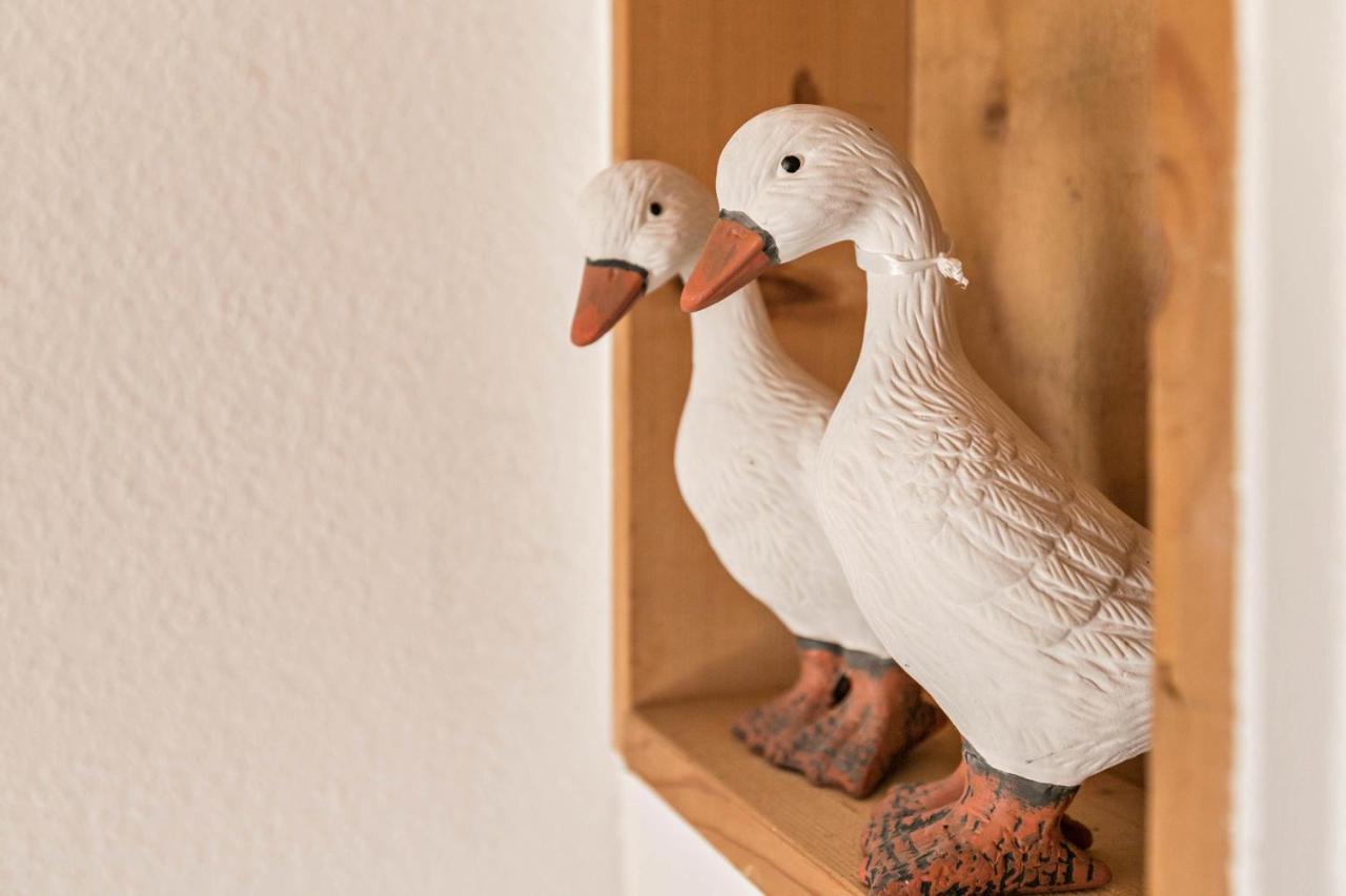 Deichgraf 1 Apartment Friedrichskoog Luaran gambar