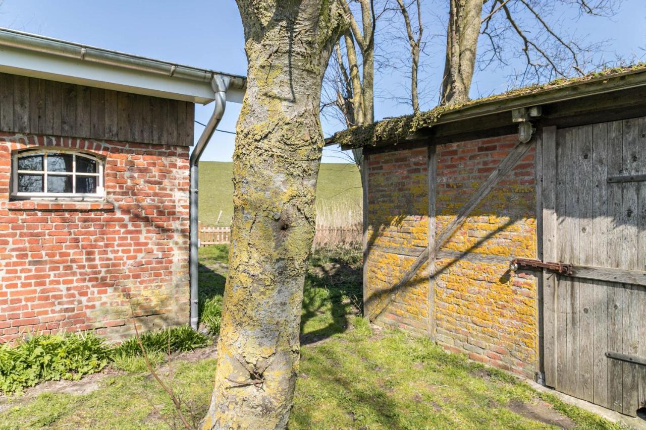 Deichgraf 1 Apartment Friedrichskoog Luaran gambar