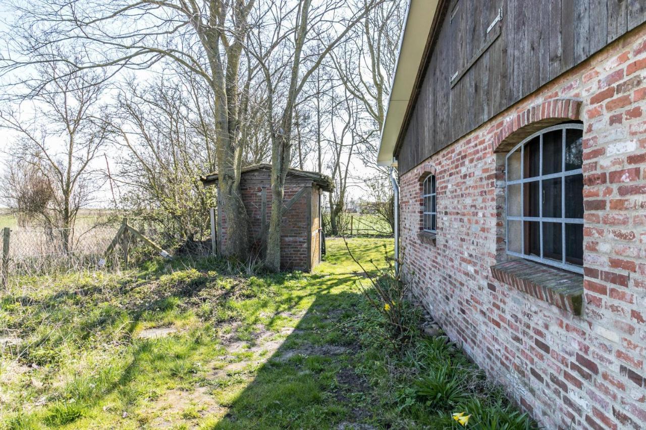 Deichgraf 1 Apartment Friedrichskoog Luaran gambar